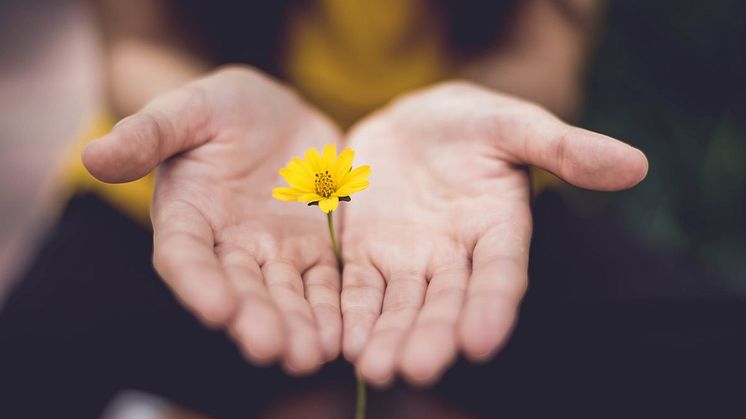Bild Copyright: lina trochez, unsplash