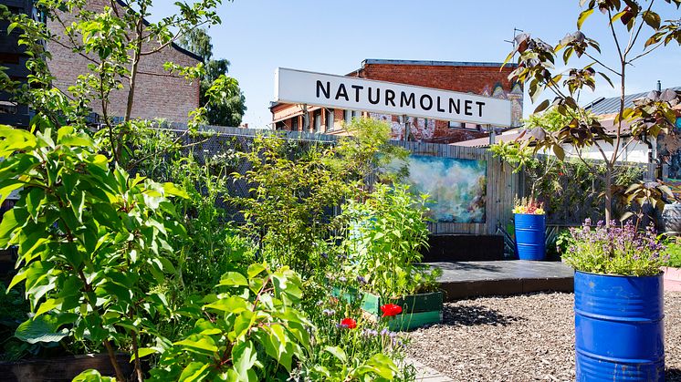 Naturmolnet, Sofielund