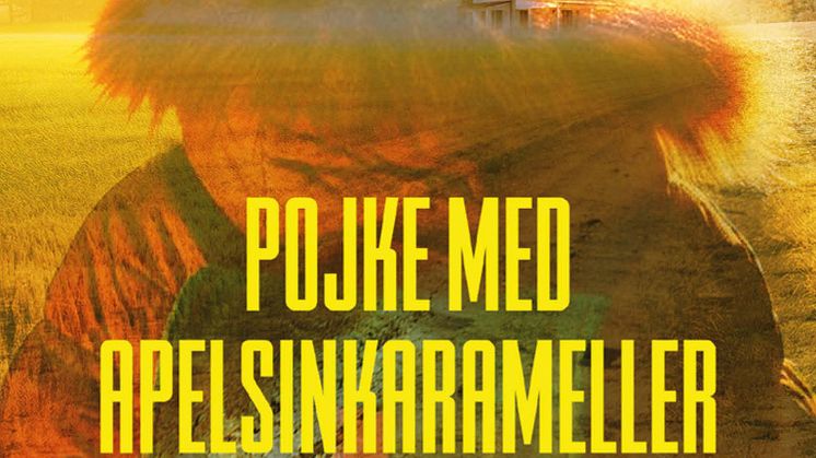 Pojke med apelsinkarameller av Roland Jansson.jpg