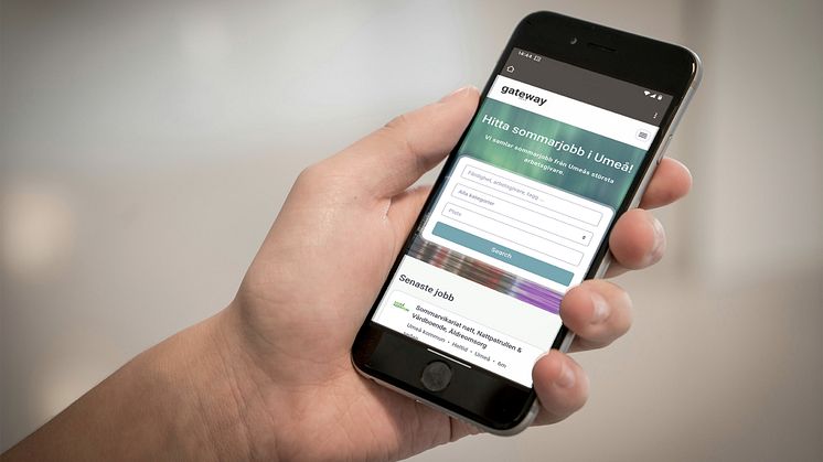Via plattformen kan studenterna se annonserna, klicka sig vidare till LinkedIn-annonser och arbetsgivarnas egna ansökningssidor. Studenterna kan också söka på plattformen och sortera jobben utifrån kategorier. 