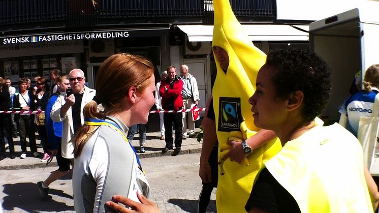 Målområdet av Strömmingsloppet 2