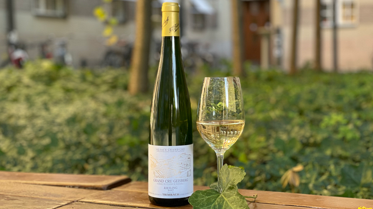 Trimbach Grand Cru Geisberg 2017