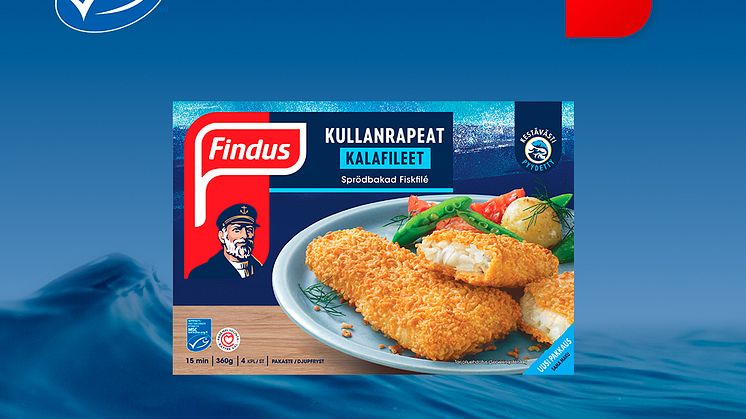1-msc graf 1080x1080 SoMe FINDUS FIN 2024.jpg