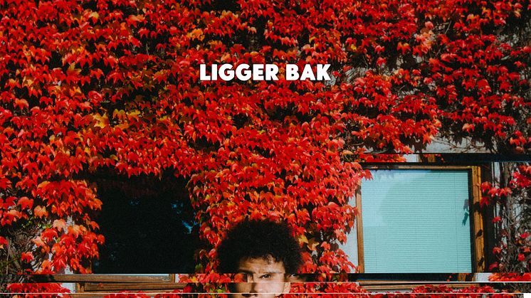 Makosir - Ligger bak - Artwork (1)
