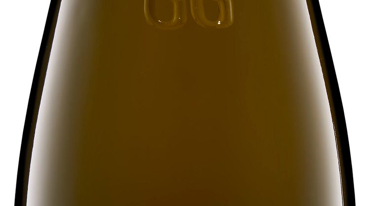 Monzinger Fruhlingsplätzchen Riesling Trocken GG 2023.jpg