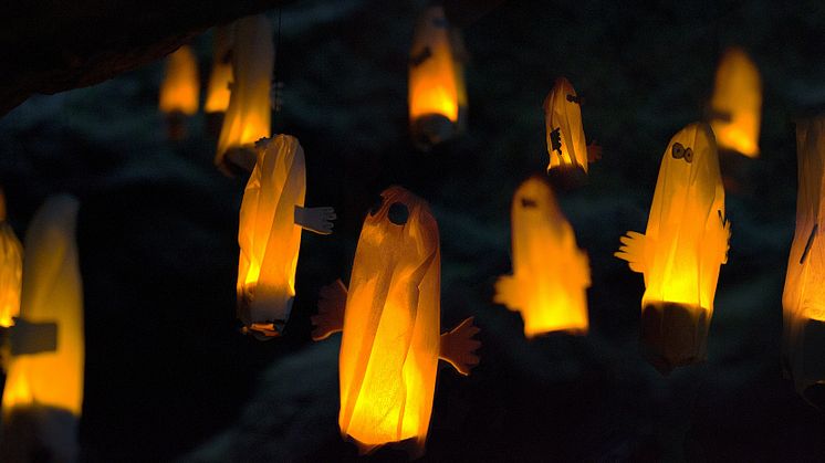 Se upp på vägarna under Halloween…
