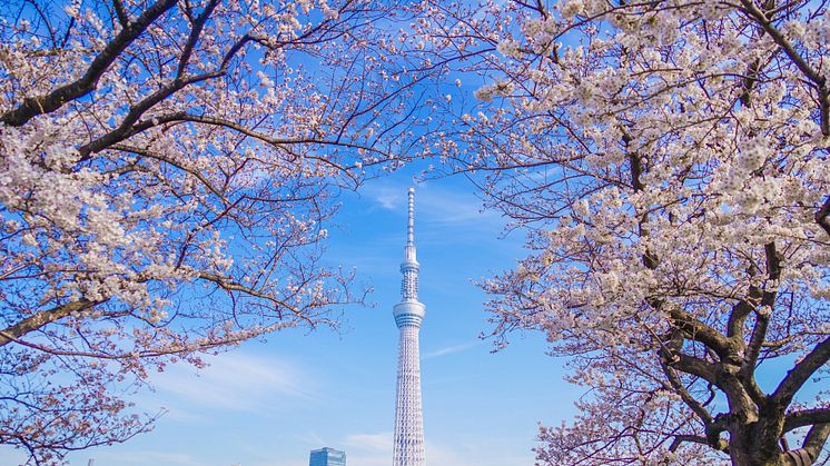 TOKYO SKYTREE is growing, and this spring and summer is the time to check out everything going on around the Tokyo landmark.