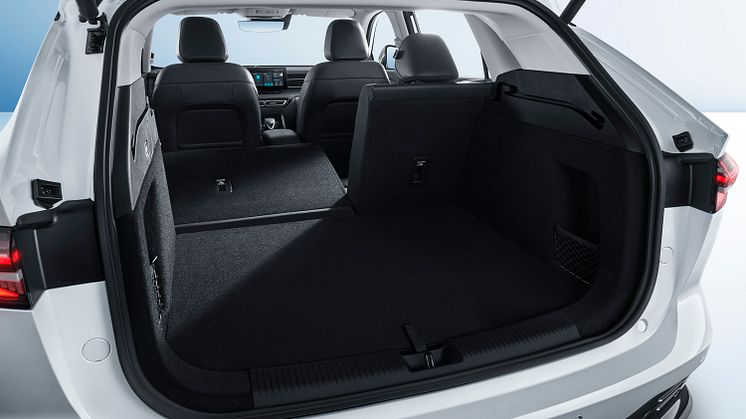 Trunk-2.jpg