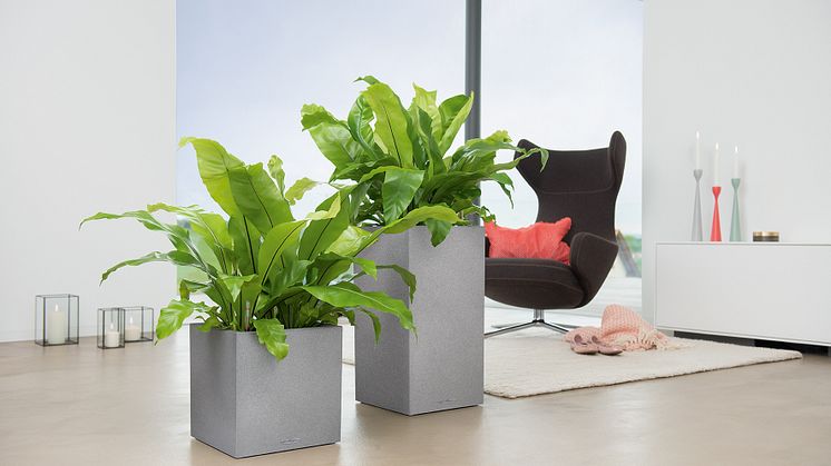 Ausgezeichnet: CANTO gewinnt Red Dot Design Award