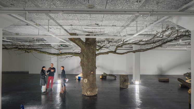 Standardlängden av ett mirakel, ekinstallation (2016). Foto: Jean-Baptiste Beranger