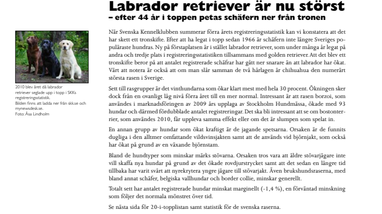 Labrador retriever är nu störst – efter 44 år i toppen petas schäfern ner från tronen