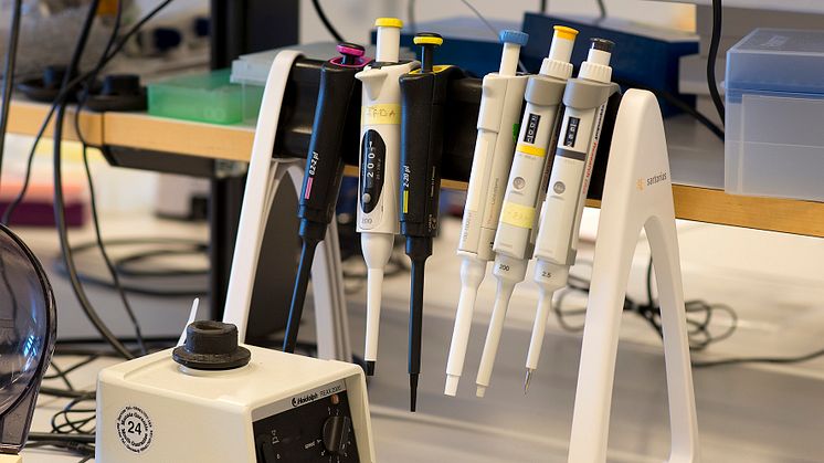 Laboratoriebänk med pipetter för provberedning.jpeg