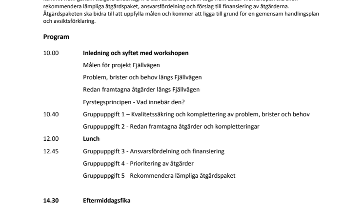 Program Workshop 2 februari i Ljusdal