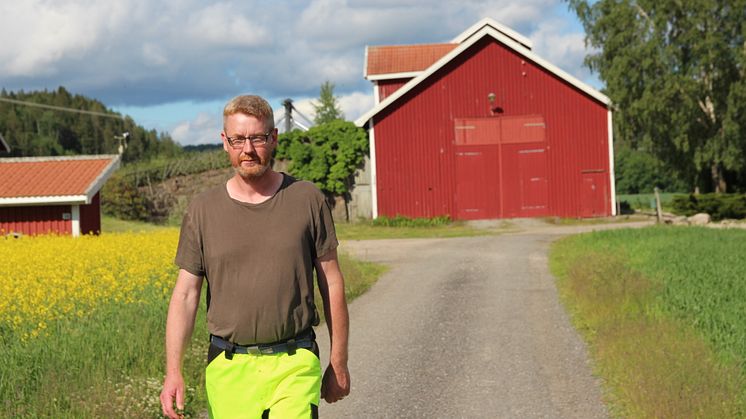 Statsbudsjett: Ingen siste satsing på landbruk fra Solberg-regjeringen