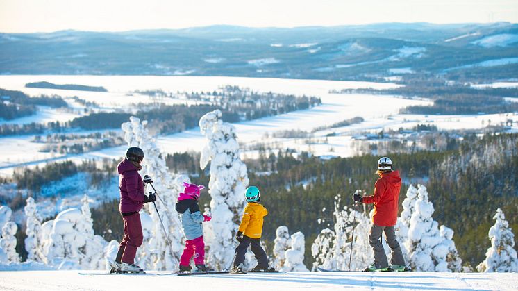 Skidåkare Järvsöbacken