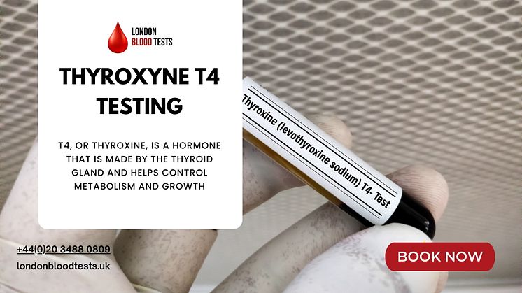 London Blood Tests Thyroxine T4 