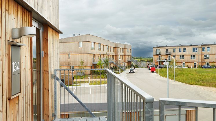 Hos Södra gør vi en dyd ud af nørderiet
