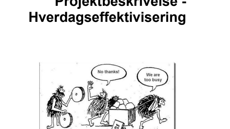Hverdagseffektiviseringer