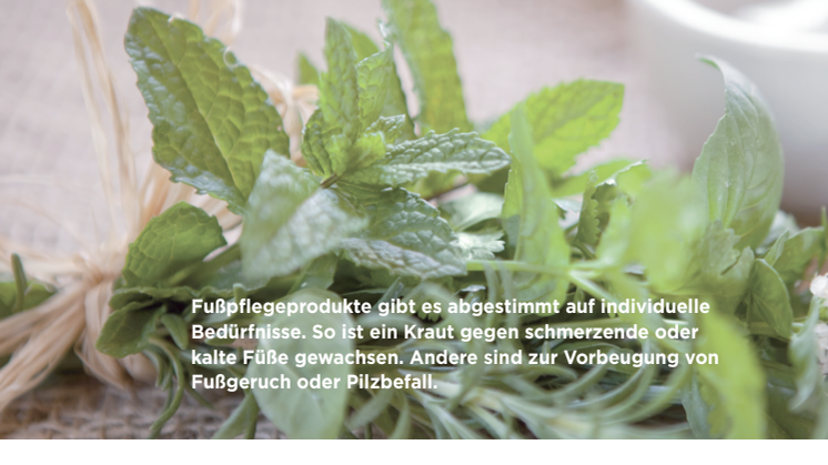 Schritt für Schritt gepflegt mit der Kraft der Natur