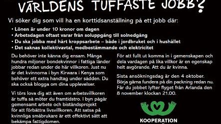 Svensk kvinna sökes till  ”världens tuffaste jobb”