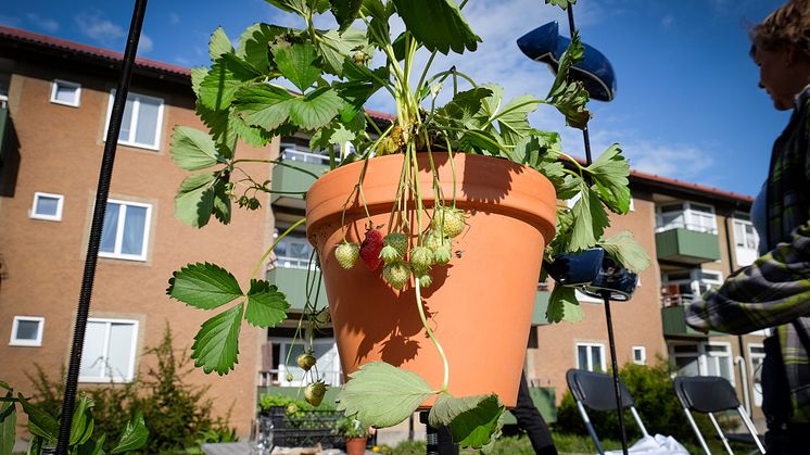 Sju steg för ökad delning i bostadsområden