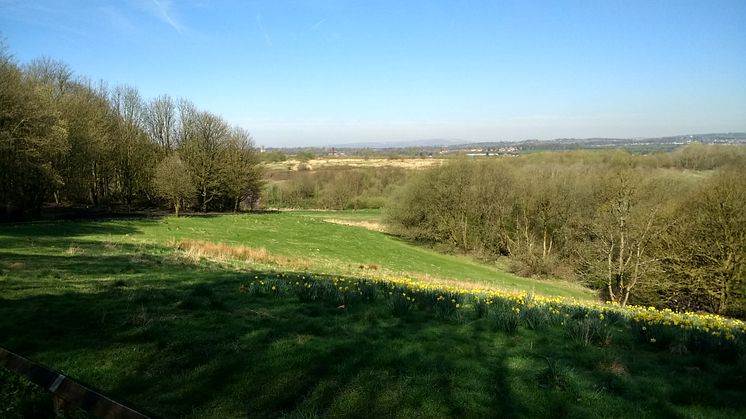 Springwater Park becomes the borough’s latest Local Nature Reserve