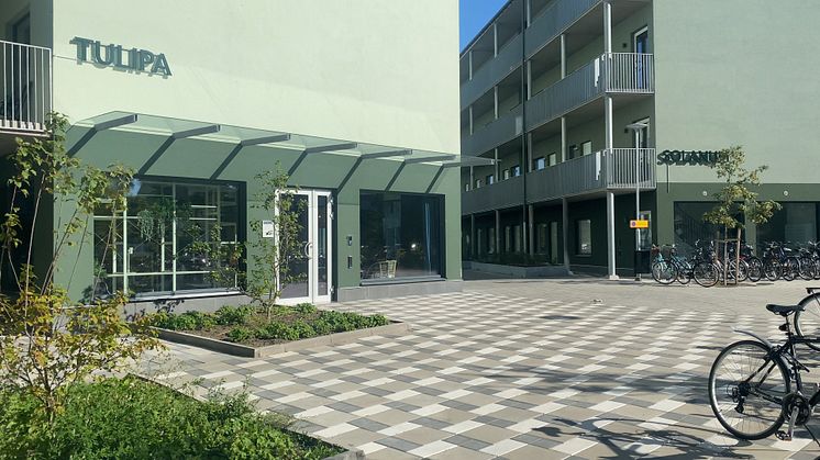 ByggVesta inviger Colonia II i Linköping – ett studentbostadsområde som skapar campuskänsla på riktigt