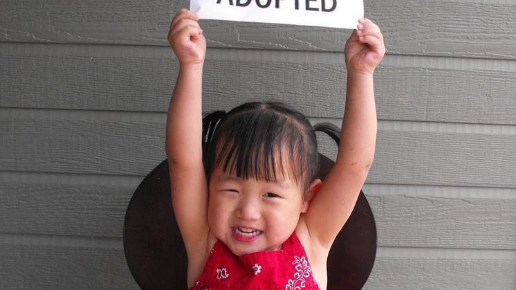 Ever thought about adoption? Come to the Open Day