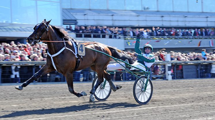 Maharajah vann Olympiatravet och idrotten fick 8,65 miljoner kronor