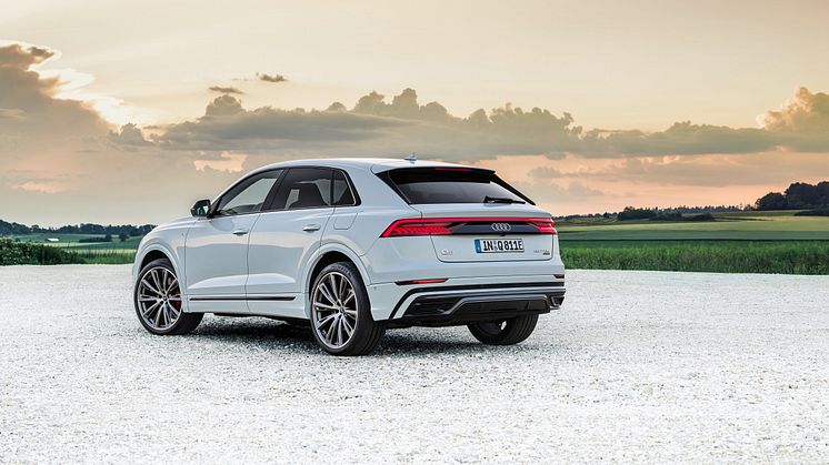 Audi Q8 60 TFSI e quattro (Gletsjerhvid)