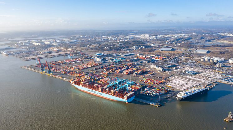Lasting och lossning av Moscow Maersk i Göteborgs hamns containerterminal den 3 mars 2020. Bild: Göteborgs hamn AB.
