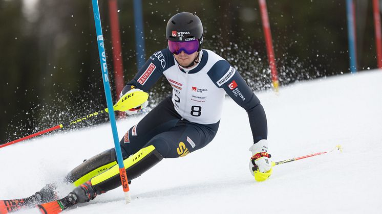 William Hansson Storklinten 2022 Foto Niklas Axhede
