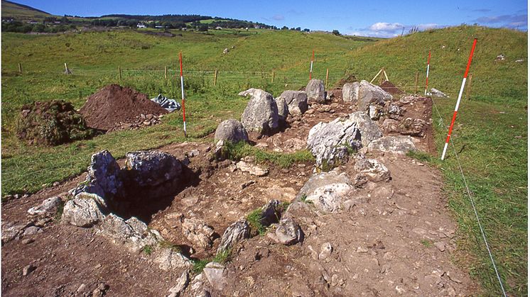 Primrose, Ireland, after excavation