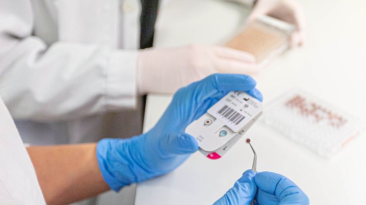 The Umeå company behind Västerbotten's home COVID-19 antibody test