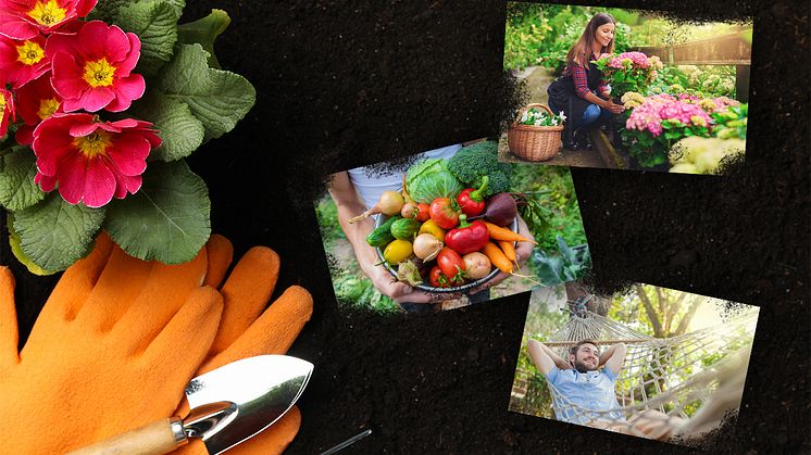 Mit den Gartentrends 2020 zaubert man sich ein Paradies aus dem eigenen Garten!