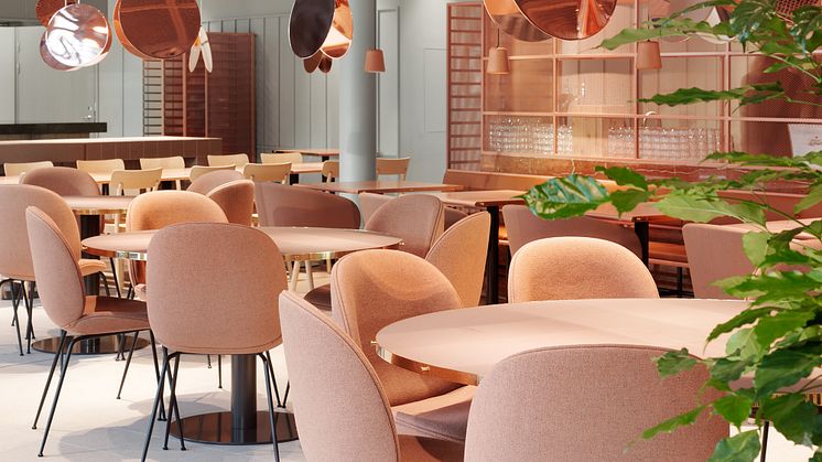 Restauranten, Norobata,  er inspirert av det japanske kjøkkenets evne til å rendyrke og forhøye smaksopplevelser og teksturer av høyeste kvalitet.