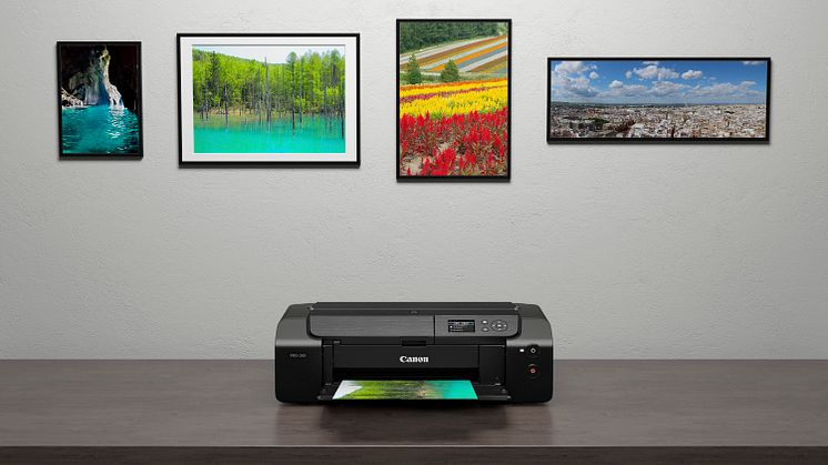 PIXMA PRO-200 SIS Prints AMBIENT 06