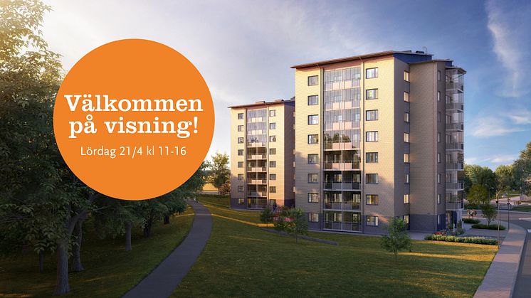Pressinbjudan: Öppen visning vid Tivoliparken