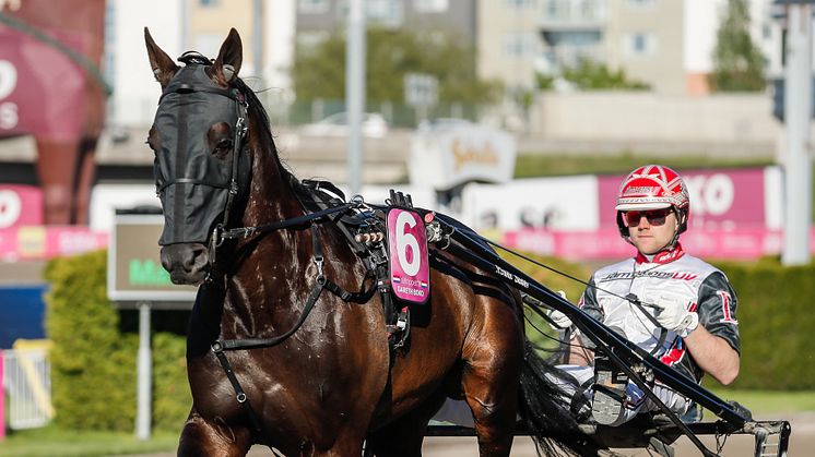 Gareth Boko kvalade in till Elitloppet 2021 via H.K.H Prins Daniels lopp på Gävletravet. Foto: TR Bild.