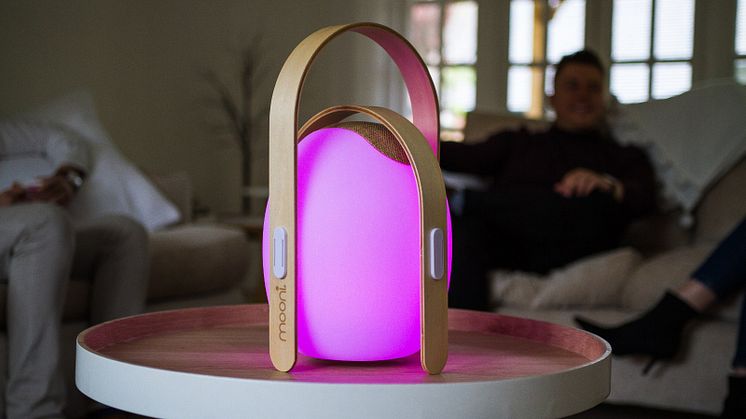 Trådlös högtalare och lampa, mini - rosa