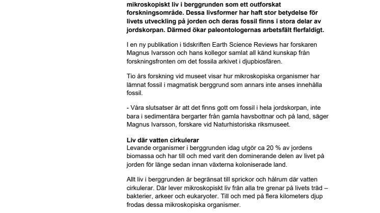 Mikroskopiska fossil på flera kilometers djup är outforskade