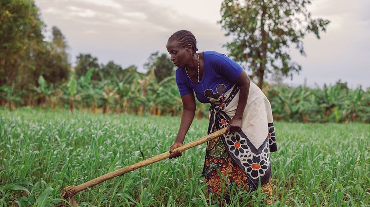 Aulelia Leonidas i Tanzania lever på landsbygden och livnär sig på jordbruk.