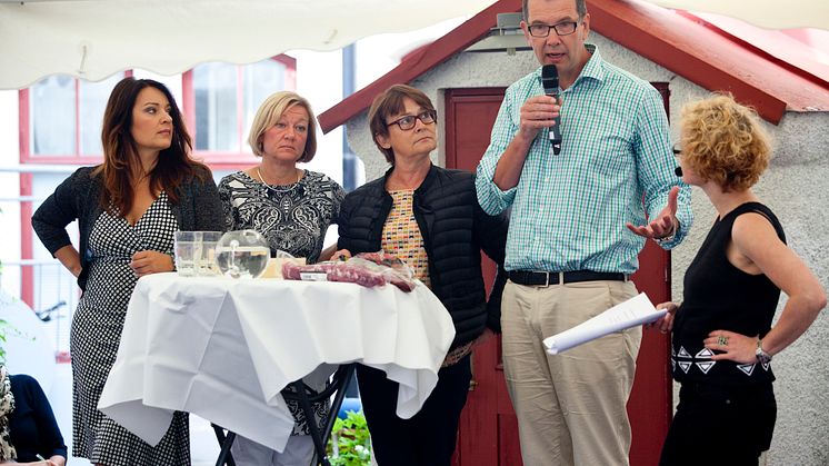 Svenskt Kött i Almedalen 2013: "Sveriges dyraste matkasse?"