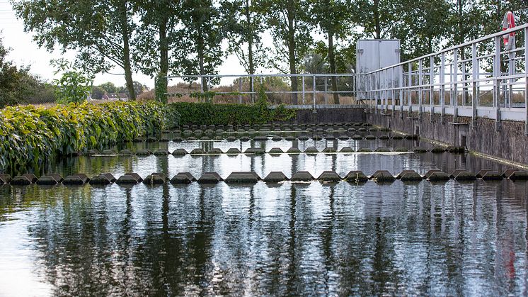 Bild från Borgeby avloppsreningsverk. 
