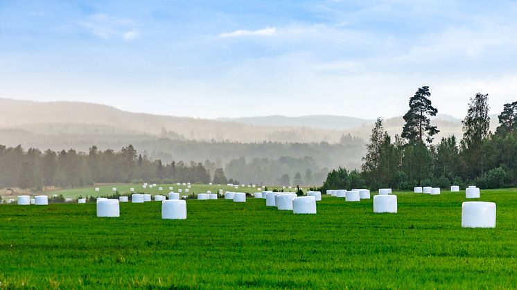 More than 5 million bales have been wrapped with Trioworld’s innovative bale wrap which is based on post-consumer recycled content.