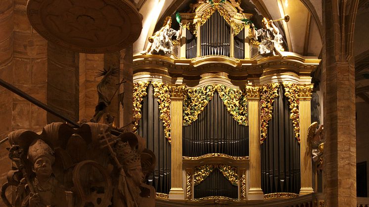 freiberg-dom-grosse-silbermann-orgel_-foto-freiberger-dom_otto-schroeder.jpg