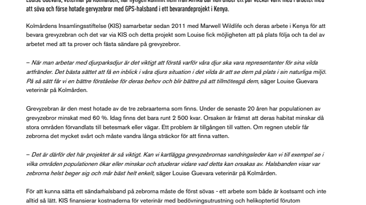 Kolmårdens veterinär registrerade zebror i Kenya