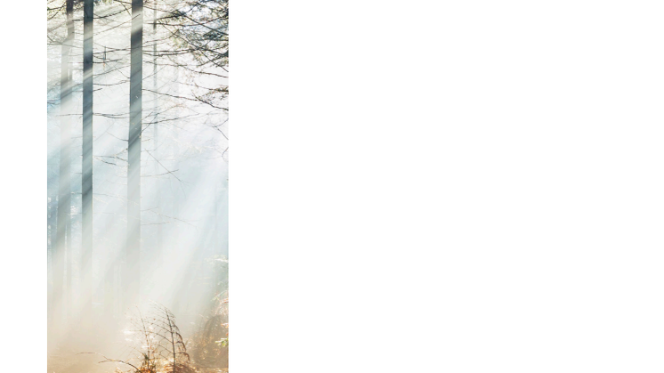 The Deloitte/SEB CFO Survey Fall 2014