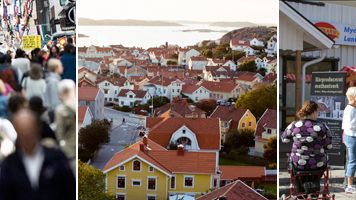 ​  Företagens villkor i olika kommuntyper 