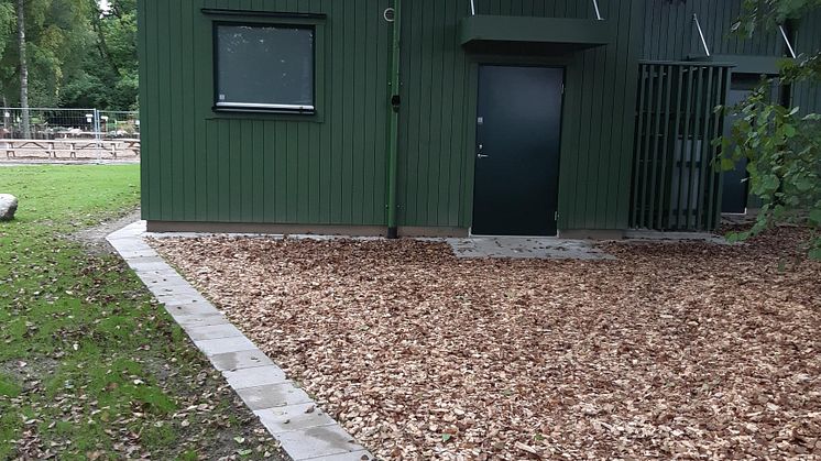 Efter renoveringen 2 omklädningsrum. Foto Örebro kommun
